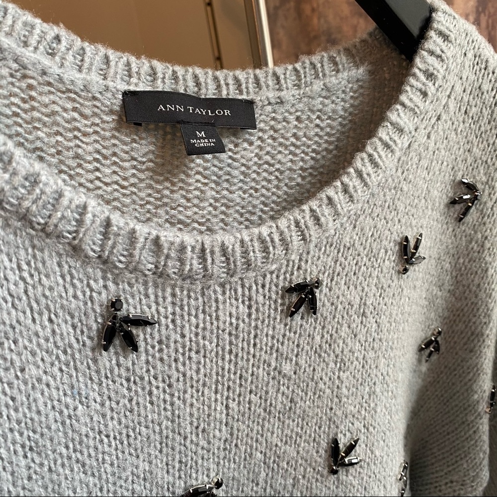 Ann Taylor “Bird Tracks” Boxy Sweater